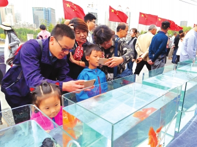 長假期間，有趣的活動吸引了市民圍觀