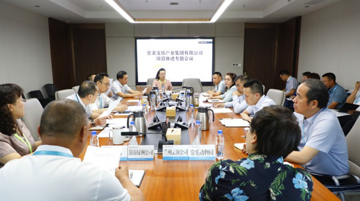 集團(tuán)公司召開項目建設(shè)專題會議