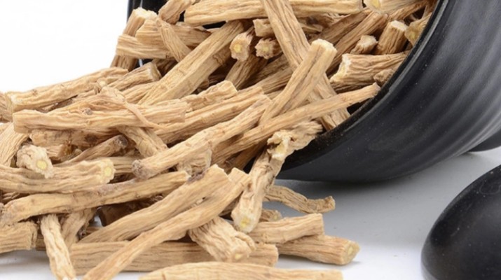 享游渭河源丨千年藥香浸潤的山水秘境，開啟一場康養(yǎng)之旅